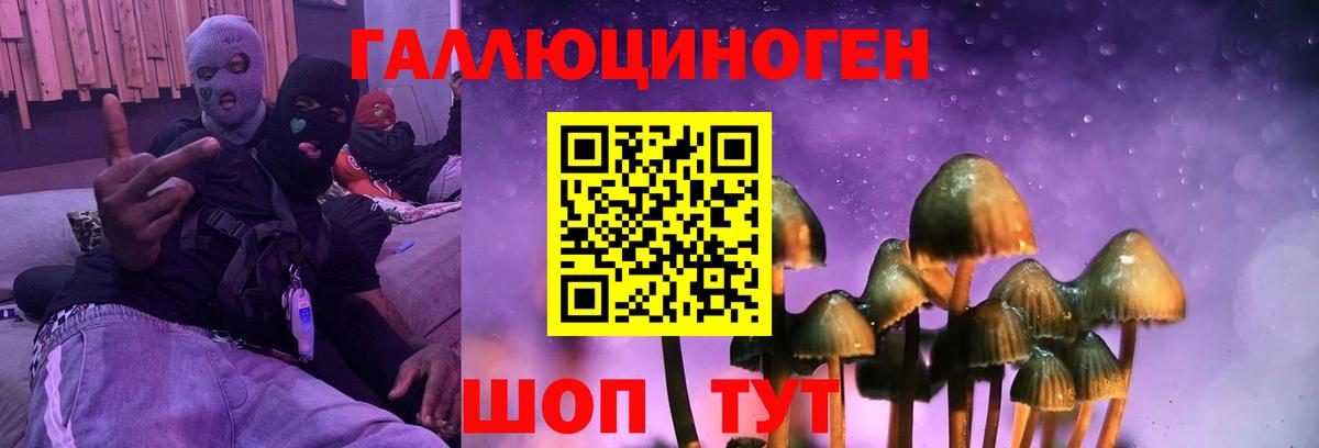 Галлюциногенные грибы прущие грибы  Псилоцибиновые грибы мухоморы  Гусь-Хрустальный  Вход с VPN 